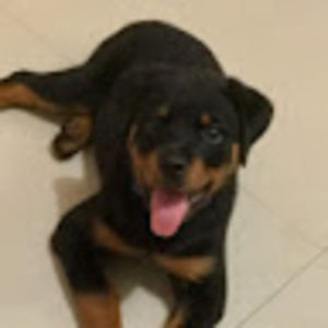 Meet your Posher, Alicia